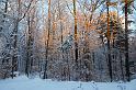 20071228_093316 D2X F